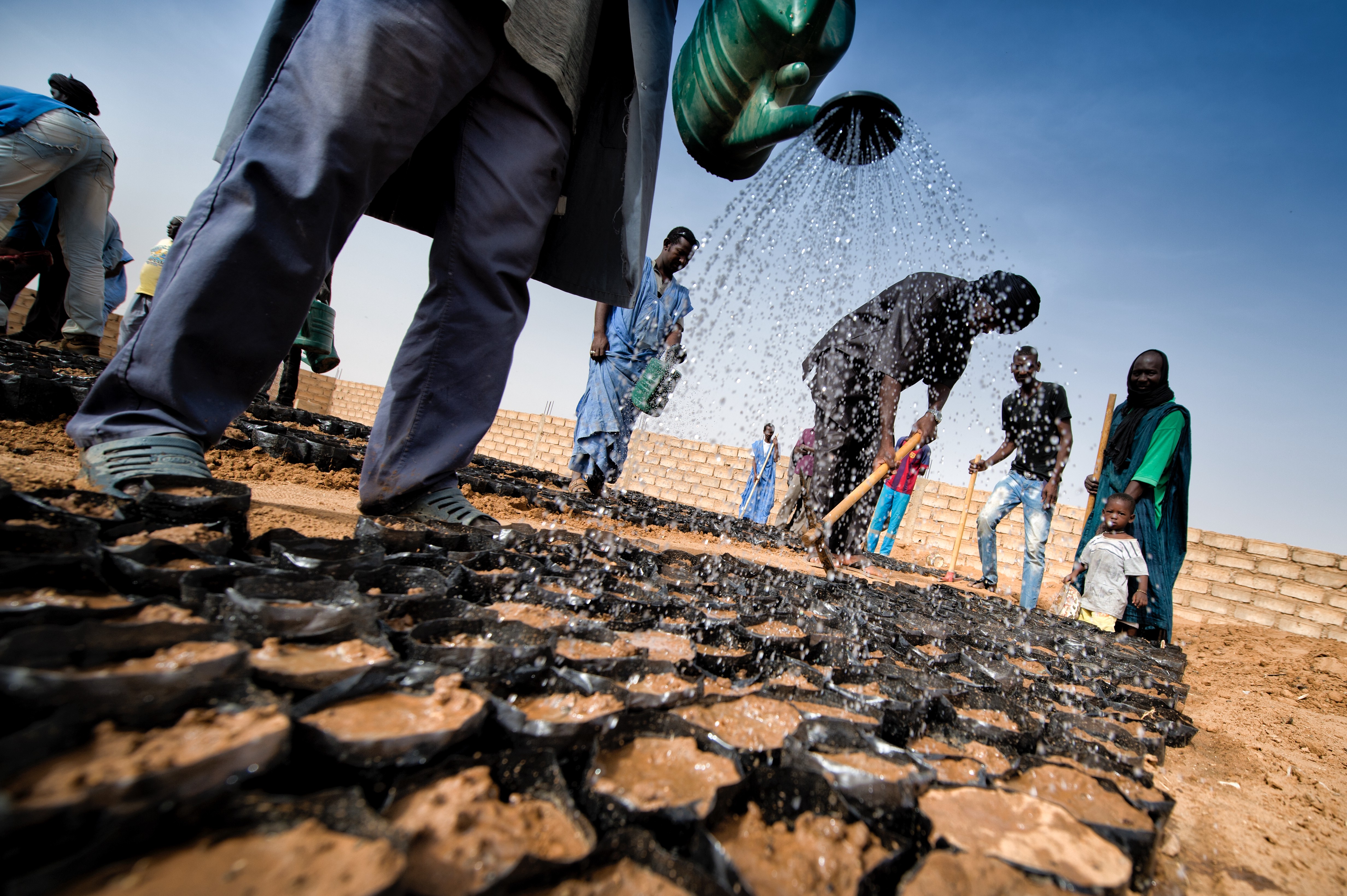 襲い来る砂漠化、懸命の緑化活動 | World Food Programme