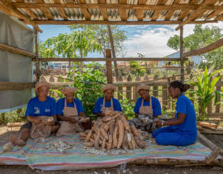 マダガスカルのP4Pプログラムは、小規模農家の農業市場へのアクセス機会を増やすことを目的としています。 Photo: WFP/Giulio d'Adamo