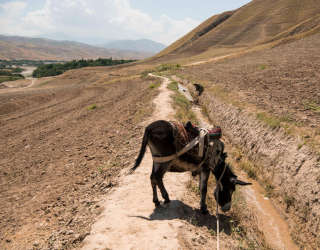 アフガニスタン・タカール州カラフガン地区の共同「運河」を示す風景。 Photo: WFP/Arete/Andrew Quilty