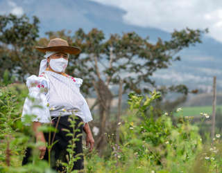 インバブラ州、イマンタグ農村部、クアドール。 Photo: WFP/Ana Buitron