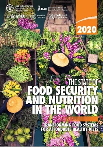 飢餓と栄養不良の増加傾向続く、2030年までに飢餓ゼロの達成が危うい状況に＝国連報告書  