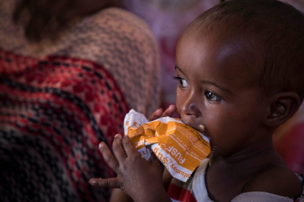 急性食料不安が過去５年で最大と「食料危機に関するグローバル報告書」が警告