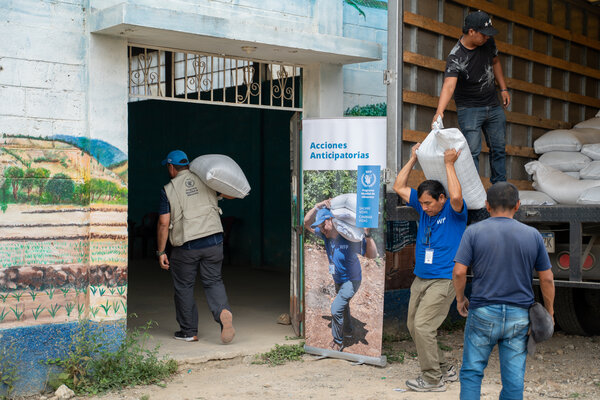 WFP staff and community members unload and carry sacks of food aid from a truck into a building, as part of anticipatory action to support vulnerable communities before shocks.