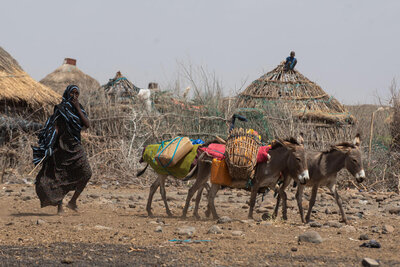 Ethiopia is experiencing prolonged drought with three consecutive poor rainy seasons, the first time in four decades; three consecutive rainy seasons have failed since late 2020.