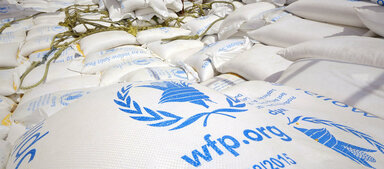 wfp bags