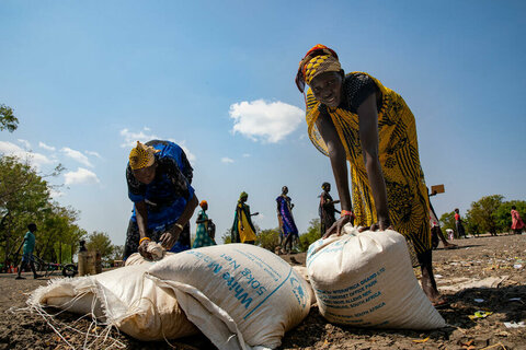 飢餓のホットスポット： 4カ国が飢きんに直面していると国連報告書が警告