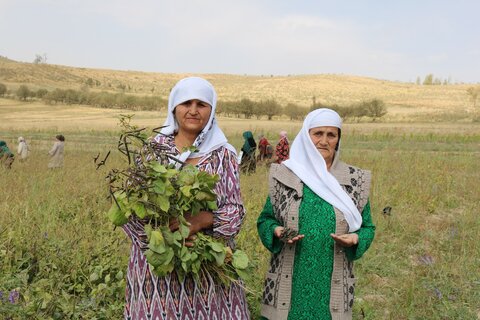 タジキスタンで活躍する女性の生産者グループ