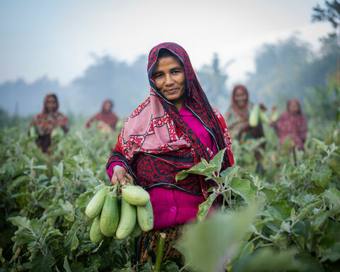 バングラデシュでの農作物の栽培を通じた女性の自立支援