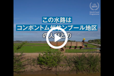 【動画】カンボジアで乾季稲作を可能にする用水路