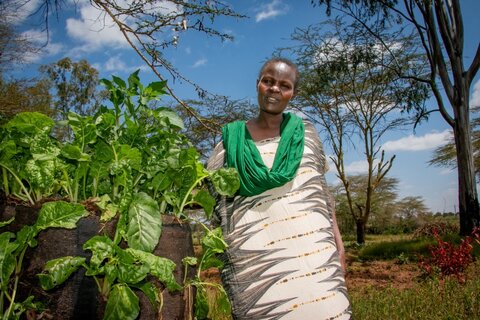 ケニアの女性たち、村の貯蓄グループでビジネスを立ち上げ、地位の向上を目指す