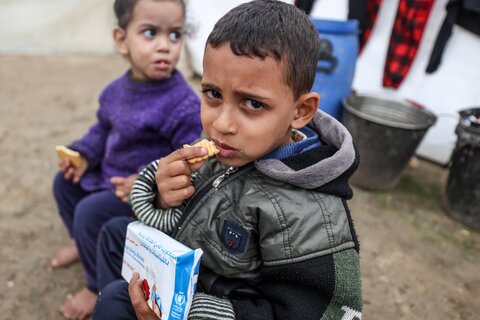 戦闘開始から半年　飢きんが差し迫る中で 「パレスチナ緊急支援募金」受付中