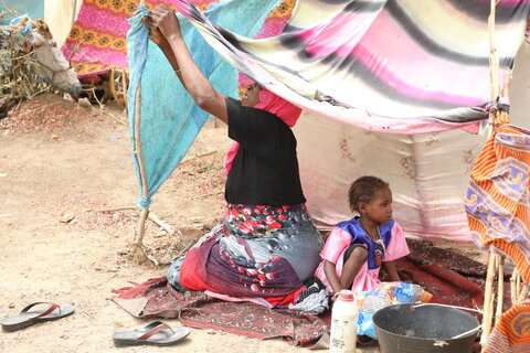 急速に深刻化する飢餓と物価高　スーダン周辺国の難民危機に対する取り組み
