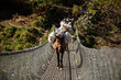 Nepal mule driver. Samantha Reinders