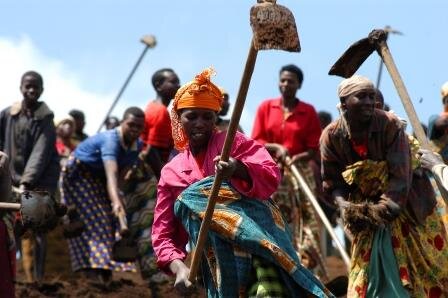 FAO, IFAD, WFP合同プレスリリース 食料の安全保障をアフリカ開発課題の主軸に ~食料関連の国連3機関トップが2025年までの飢餓撲滅を呼びかけ~
