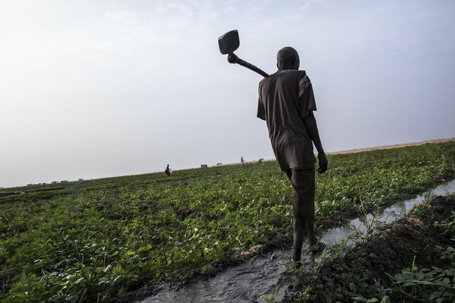 南スーダンのバールエルガザル州で菜園に灌水する小規模農民。Photo: WFP/Gabriela Vivacqua
