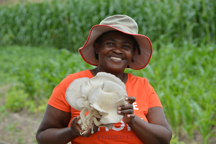 キノコは収穫してもすぐに生えてきます。Photo: WFP/Tatenda Macheka