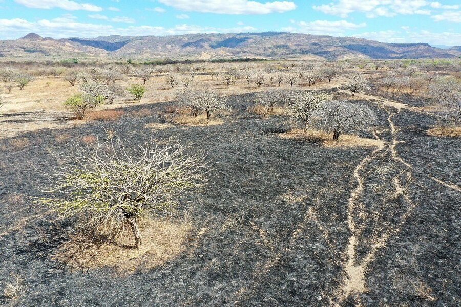 Desert_Honduras