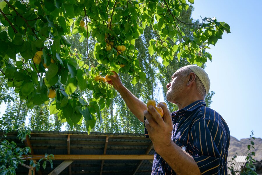 生涯を通じ畑で働いてきたジュスプベクさんは、村のすべての家族と顔なじみです。Photo: WFP/Maksim Shubovich