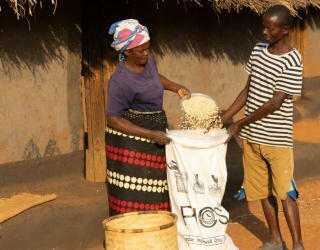 マラウイ。食品ロスをなくすために倉庫に食料を保管します。Photo: WFP/Badre Bahaji