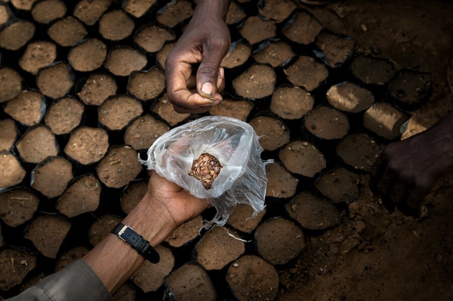 襲い来る砂漠化、懸命の緑化活動 | World Food Programme