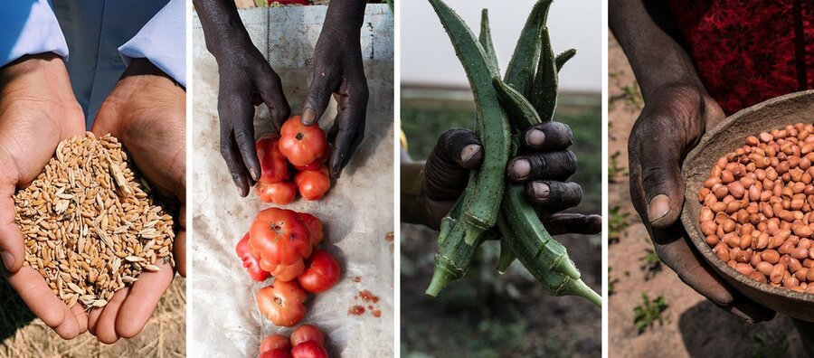 国連WFPとノーベル平和賞 | World Food Programme