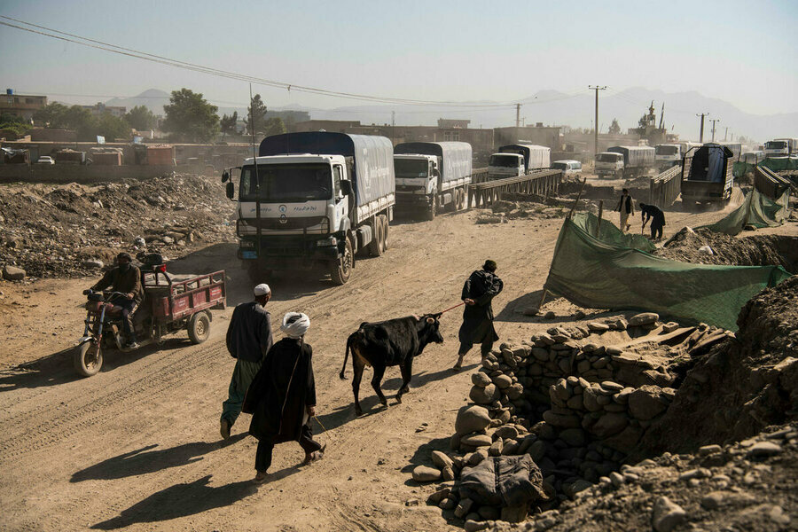 Street scene in Afghanistan with trucks, men and cattle on dirt road