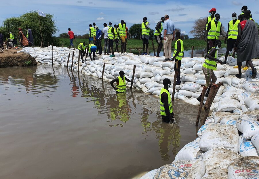 WFP works with volunteers to repair breached dyke points