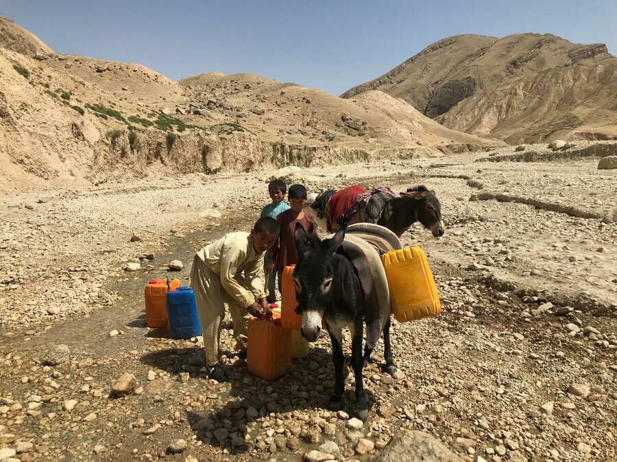 Boys with donkeys carrying water jerrycans on arid background