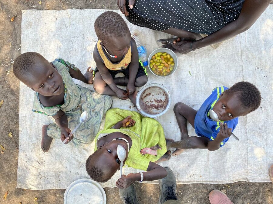世界で4,500万人の人々が飢きんの瀬戸際で生活しています。Photo: WFP/Marwa Awad