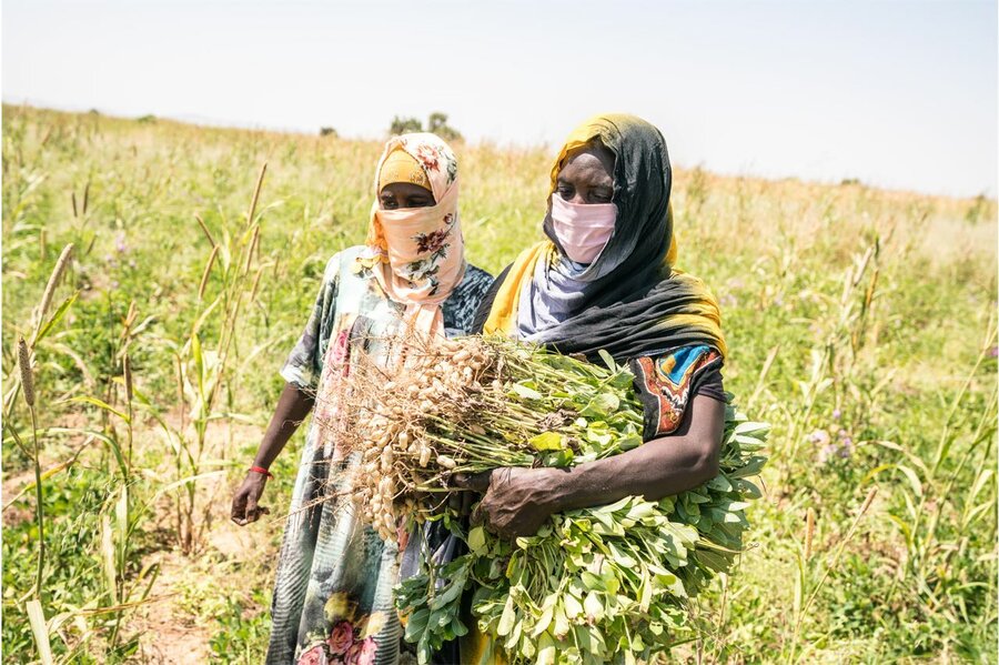 チャド：アベッシュ州アルクーで国連WFPの自立支援に参加する小規模農家。チャドは世界で最も異常気象の影響を受けやすい国の一つであり、サヘル地域で最大の難民を受け入れている国です。