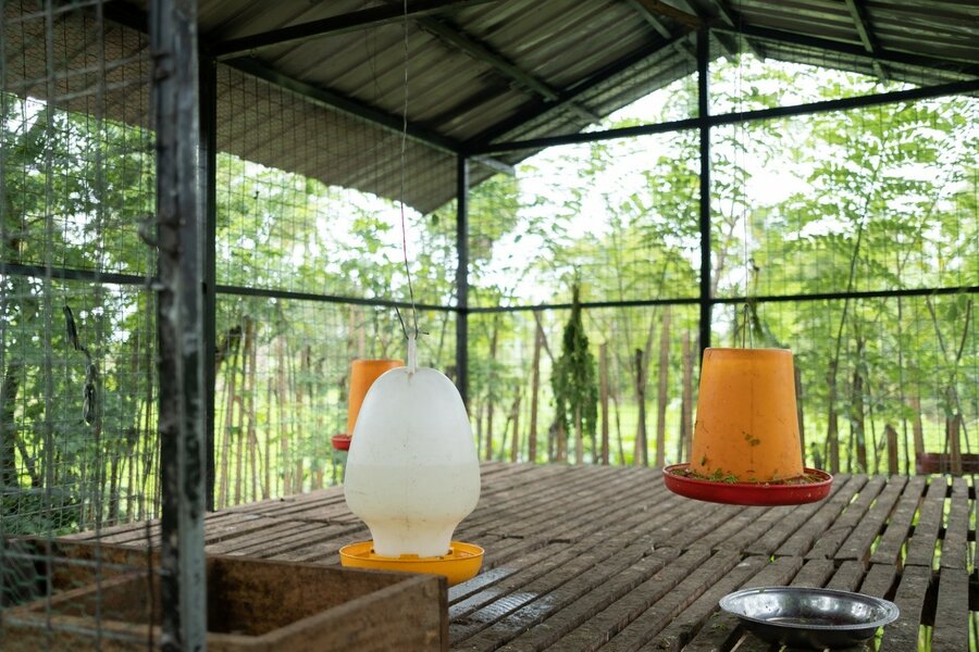 ダマヤンティさんに提供された養鶏設備と持続可能なバイオフェンス。