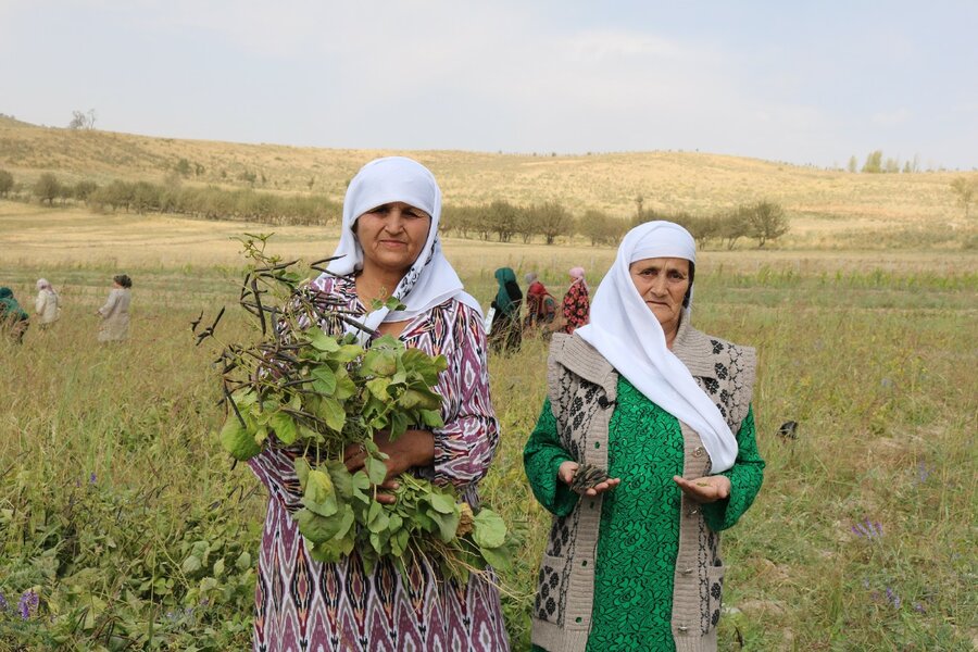 国連WFPの研修を受け、借りた耕作地から最初の農産物を収穫するダストゥルグルさん（左）。