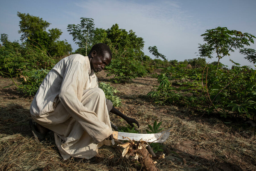 キャッサバを収穫する農家のデン・ブラックさん。南スーダンでは、紛争と気候変動により、飢餓が深刻化しています。