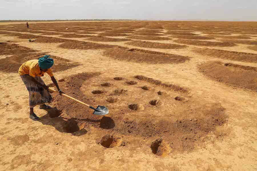 干ばつの影響を受けたエチオピアのソマリア地方で、牧畜用の水をためるために「半月型」の堤防を掘る女性