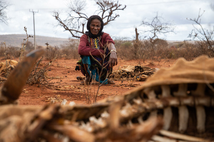 A pastoralist in Borenna, Oromia region, with the remains of her livestock, in September