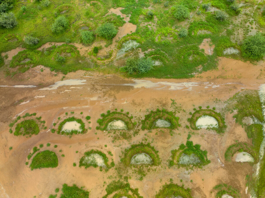 ニジェールのモーンリーの乾燥地帯に掘られた、雨水を活用するための半円型の窪み。国連WFPは弱い立場に置かれた1,128世帯を支援し、833ヘクタール以上の土地を回復させた。Photo: WFP/Evelyn Fey