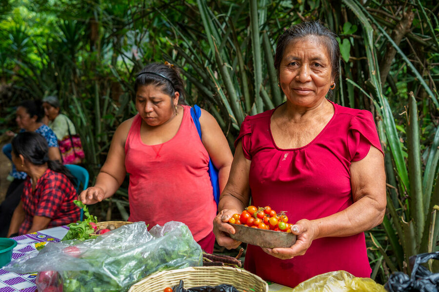 グアテマラ：プラン・デ・ジョコート地区の女性たちは、国連WFPの災害に強い地域づくりの取り組みの一環として、干ばつに強い作物を育て、乾季に備えています。Photo: WFP/Giulio d'Adamo.