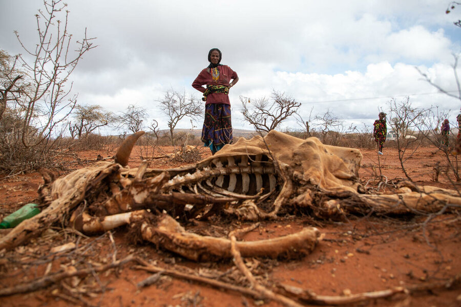 エチオピアのボレナ地区では、厳しい干ばつにより収穫物や家畜が壊滅的な打撃を受け、飢餓と栄養不良が深刻化しています。Photo: WFP/Michael TeweldeA punishing drought has devastated harvests and livestock, deepening hunger and malnutrition in Ethiopia's Borena zone. Photo: WFP/Michael Tewelde