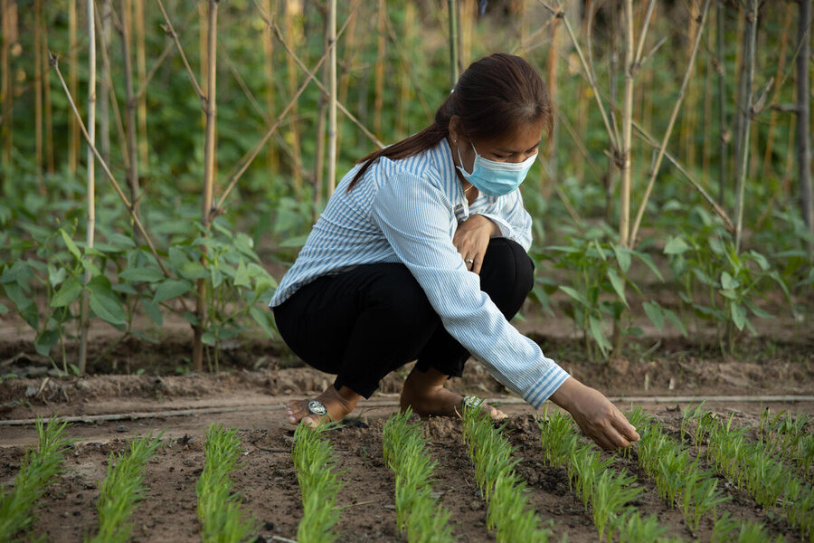 農業、保健、栄養面での推進を行っているカンボジアで、学校給食用の新鮮な野菜を供給しているチュム・ティナさん。 Photo: WFP/Arete/Cesar Lopez