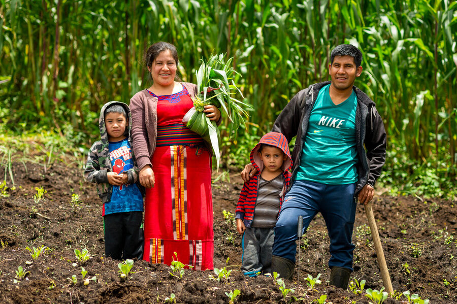 国連WFPの支援を受け、グアテマラのキチェ県で作物を多様化する方法を学ぶ小規模農家のマリアさんとその家族。気候変動に配慮した農法は収穫を向上させ、土地の劣化を抑えます。Photo: WFP/Giulio d'Adamo