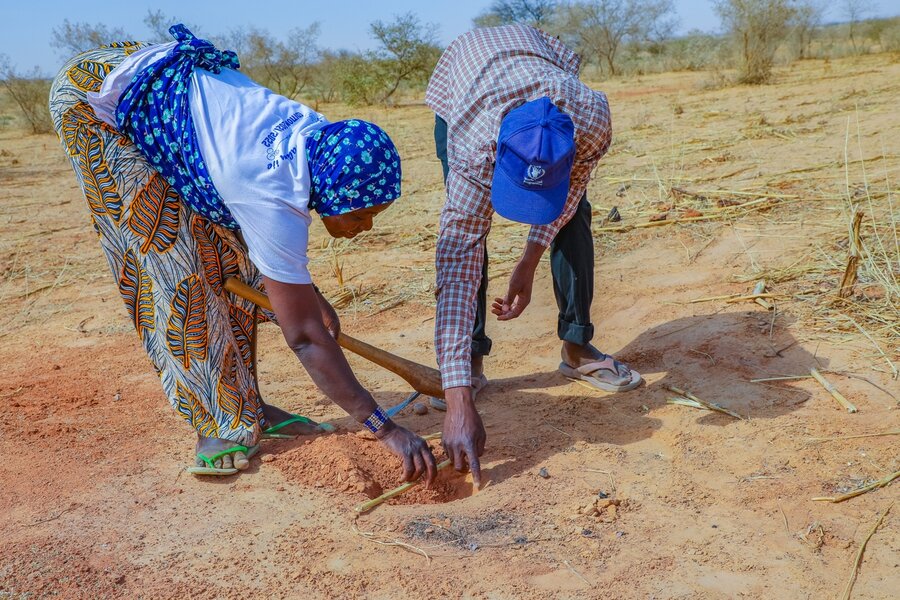 荒廃した土地の回復方法を指導するニジェールの国連WFP職員（右） Photo: WFP/Adamou Sani Dan Salaou