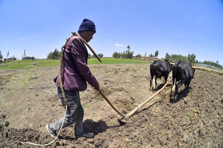 Yohannes Negash is no stranger to farming's risks, but can take new bets thanks to WFP-supported crop insurance. Photo: WFP/Michael Tewelde