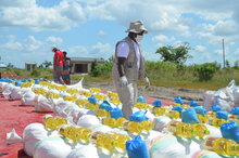 Photo: WFP/ Rafael Campos, WFP operations in Mozambique