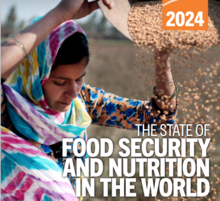 世界の飢餓人口、3年連続で高止まり： 国連報告書