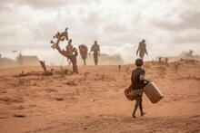 Photo: WFP/Tsiory Andriantsoarana, マダガスカル南部で水を求めて採集する人々