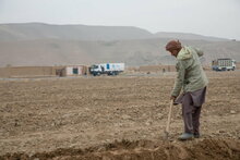 Photo: WFP/Julian Frank, People Farming in Balkh Province with WFP Convoy in Background