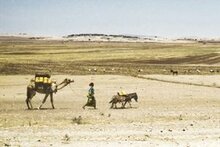 干ばつが「アフリカの角」での飢餓を加速