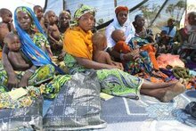 ニジェール、食糧価格の急騰で忍び寄る食糧危機