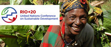 リオ+20 国連持続可能な開発会議：私たちが望む未来