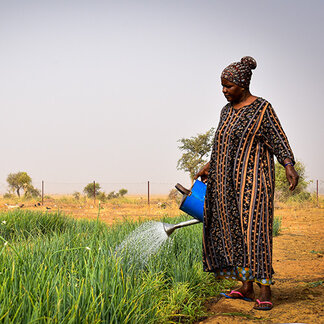 Woman watering her plants